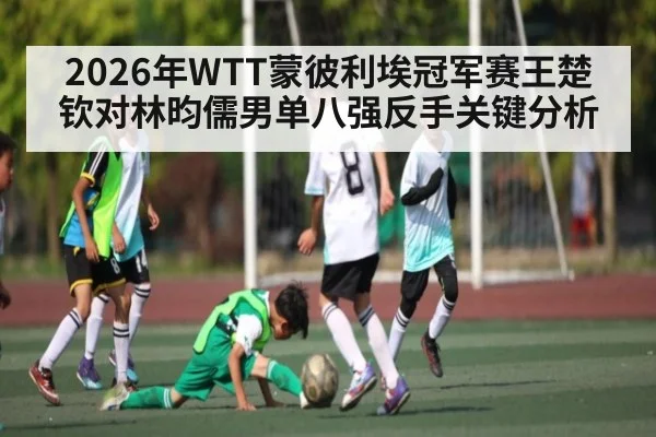 2026年WTT蒙彼利埃冠军赛王楚钦对林昀儒男单八强反手关键分析
